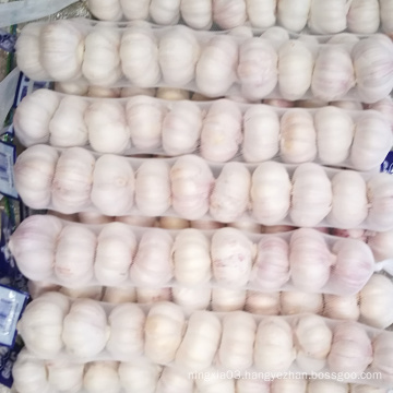 hot sale size 5.0 up china fresh garlic normal white garlic